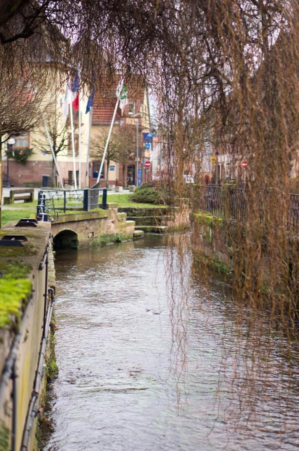Meuble Tout Confort, Avec Terrasse Niederbronn-les-Bains Exteriér fotografie