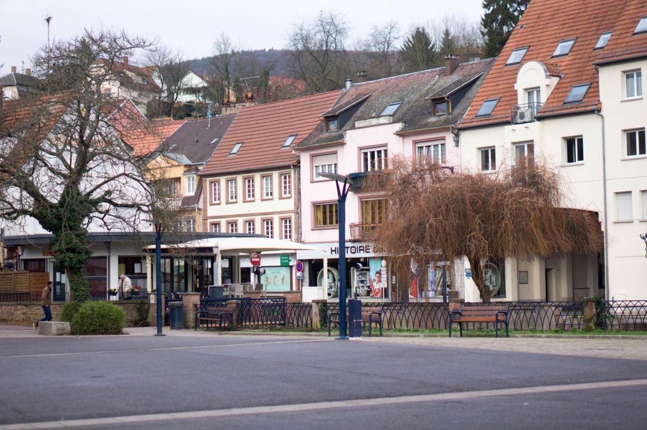 Meuble Tout Confort, Avec Terrasse Niederbronn-les-Bains Exteriér fotografie